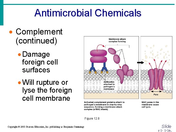 Antimicrobial Chemicals · Complement (continued) · Damage foreign cell surfaces · Will rupture or