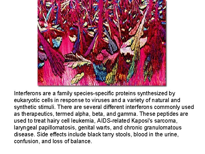 Interferons are a family species-specific proteins synthesized by eukaryotic cells in response to viruses