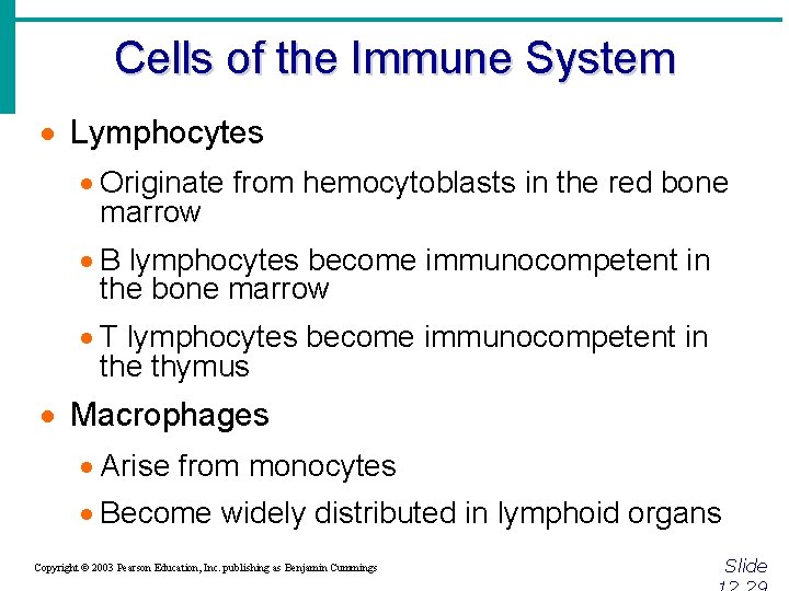 Cells of the Immune System · Lymphocytes · Originate from hemocytoblasts in the red