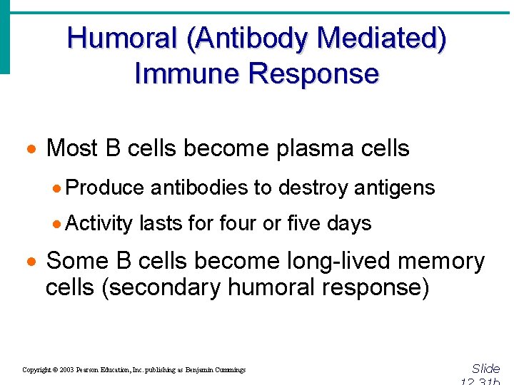 Humoral (Antibody Mediated) Immune Response · Most B cells become plasma cells · Produce