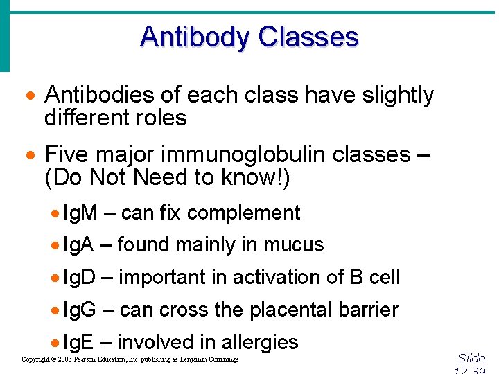 Antibody Classes · Antibodies of each class have slightly different roles · Five major