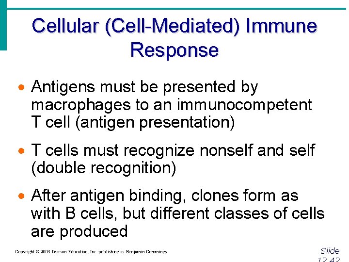 Cellular (Cell-Mediated) Immune Response · Antigens must be presented by macrophages to an immunocompetent