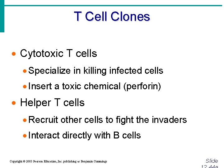 T Cell Clones · Cytotoxic T cells · Specialize in killing infected cells ·