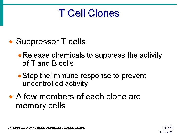 T Cell Clones · Suppressor T cells · Release chemicals to suppress the activity