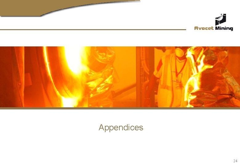 Appendices 24 