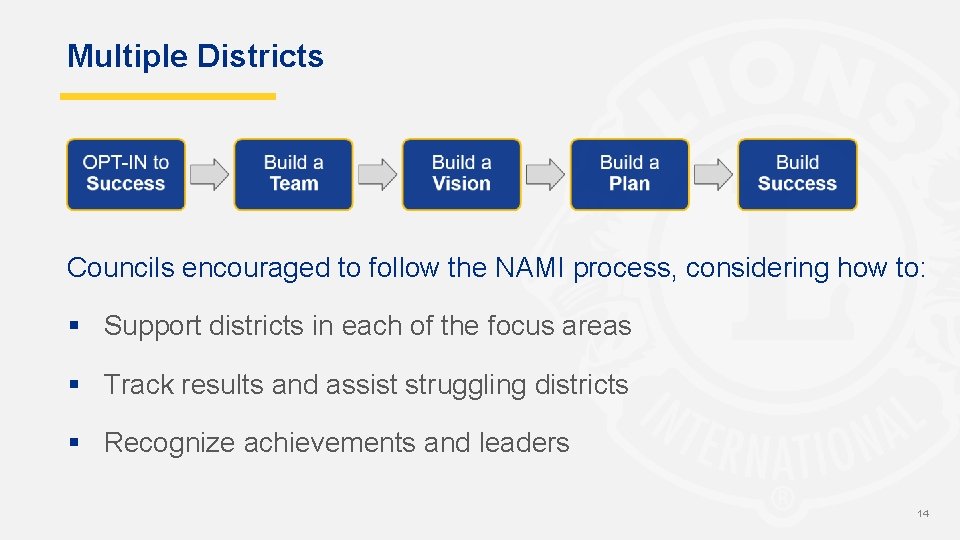 Multiple Districts Councils encouraged to follow the NAMI process, considering how to: § Support