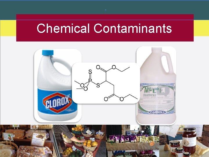 Chemical Contaminants Chemical Contaminants