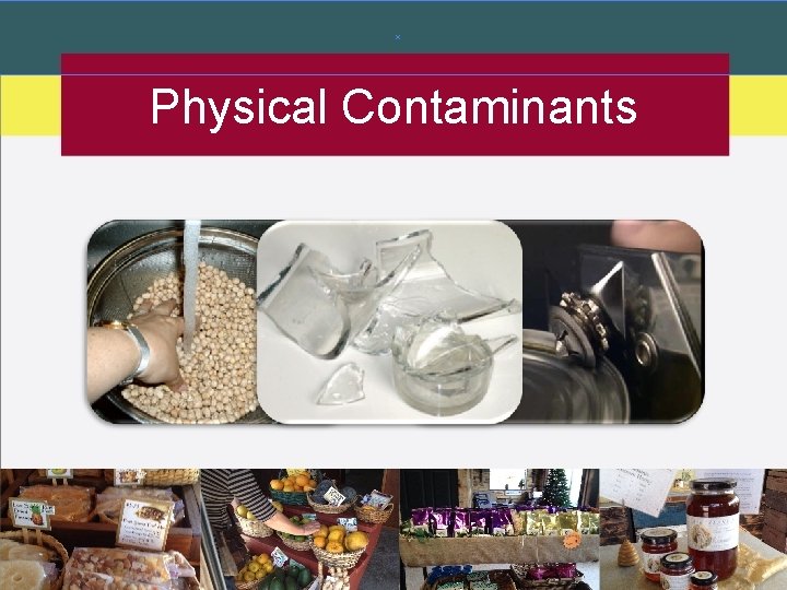 Physical Contaminants Physical Contaminants