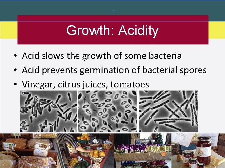 Growth: Acidity • Acid slows the growth of some bacteria • Acid prevents germination Growth: Acidity • Acid slows the growth of some bacteria • Acid prevents germination