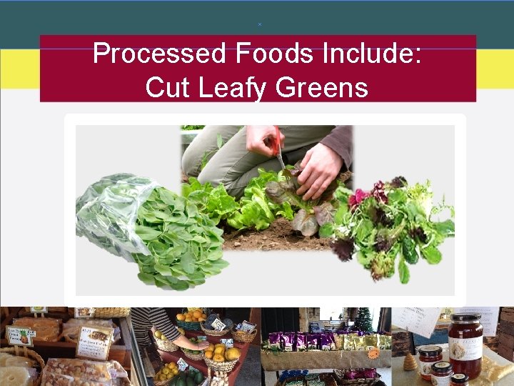Processed Foods Include: Cut Leafy Greens Processed Foods Include: Cut Leafy Greens