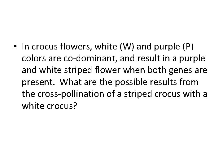  • In crocus flowers, white (W) and purple (P) colors are co-dominant, and