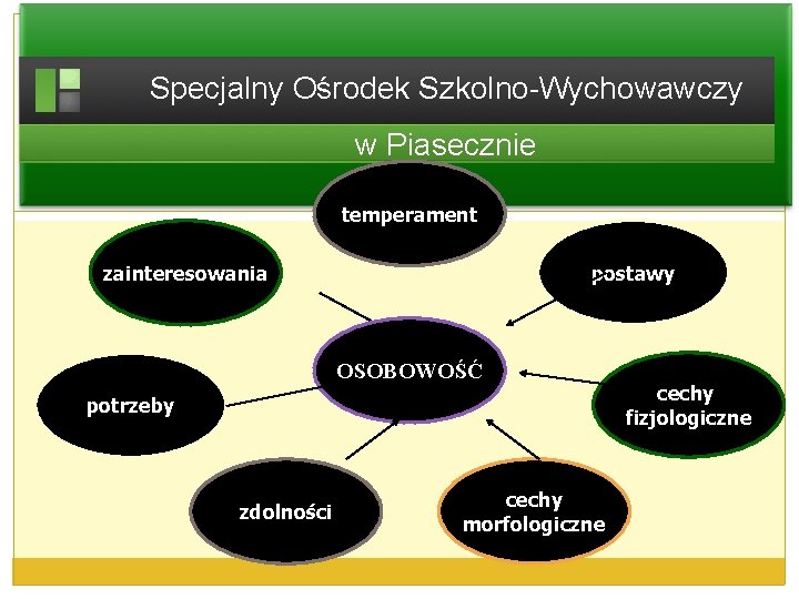 Specjalny Ośrodek Szkolno-Wychowawczy w Piasecznie temperament postawy zainteresowania OSOBOWOŚĆ potrzeby zdolności cechy morfologiczne cechy