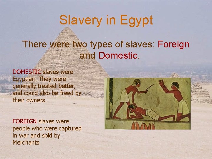 Slavery in Egypt There were two types of slaves: Foreign and Domestic. DOMESTIC slaves