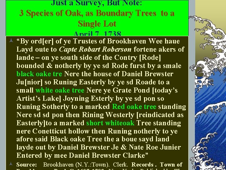 Just a Survey, But Note: 3 Species of Oak, as Boundary Trees to a