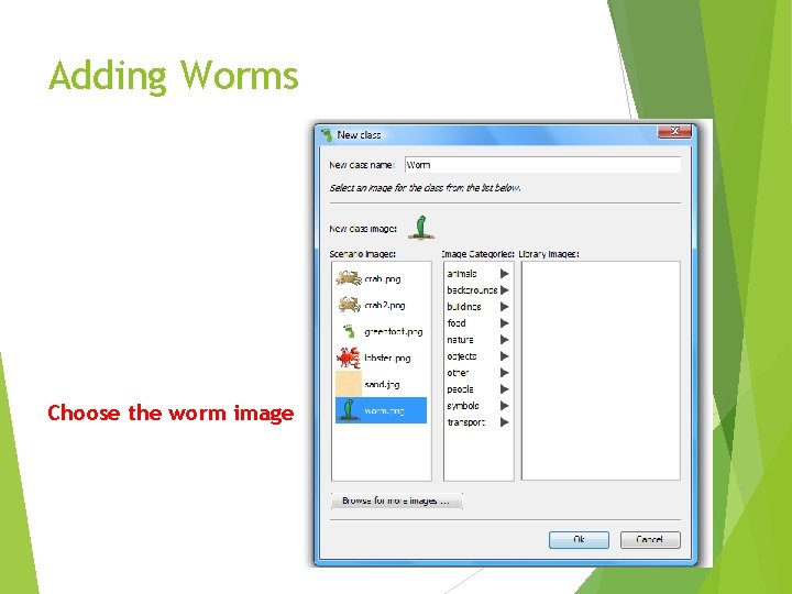 Adding Worms Choose the worm image 