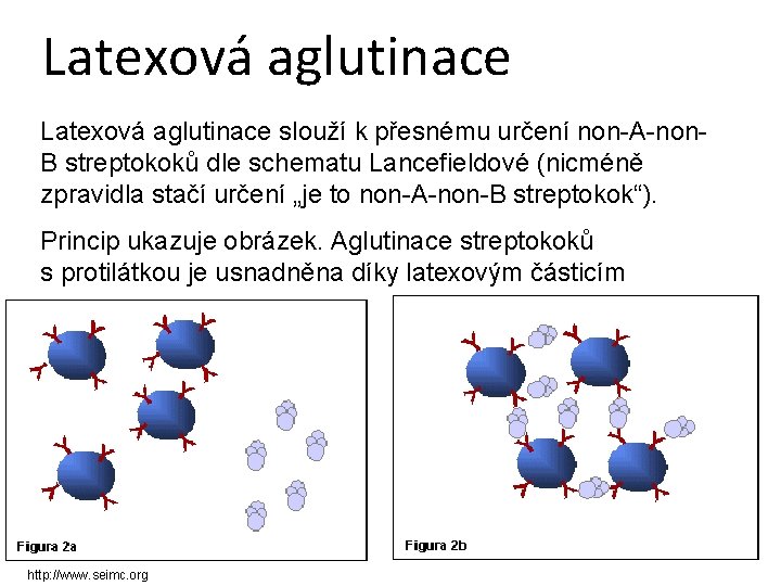 Latexová aglutinace slouží k přesnému určení non-A-non. B streptokoků dle schematu Lancefieldové (nicméně zpravidla