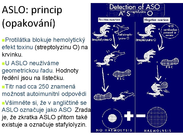 ASLO: princip (opakování) n. Protilátka blokuje hemolytický efekt toxinu (streptolyzinu O) na krvinku. n.