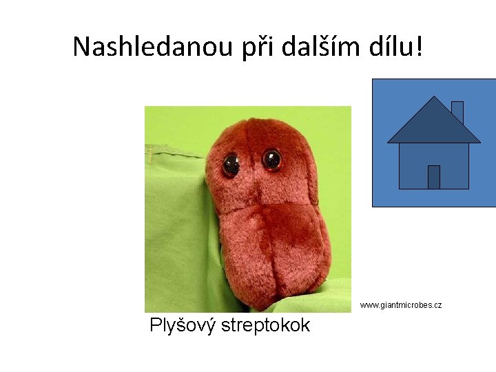 Nashledanou při dalším dílu! www. giantmicrobes. cz Plyšový streptokok 