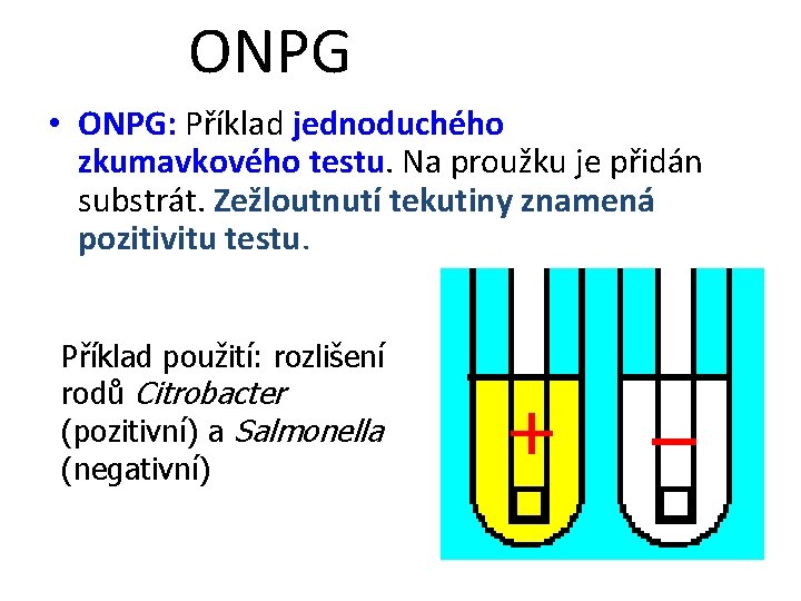 ONPG • ONPG: Příklad jednoduchého zkumavkového testu. Na proužku je přidán substrát. Zežloutnutí tekutiny