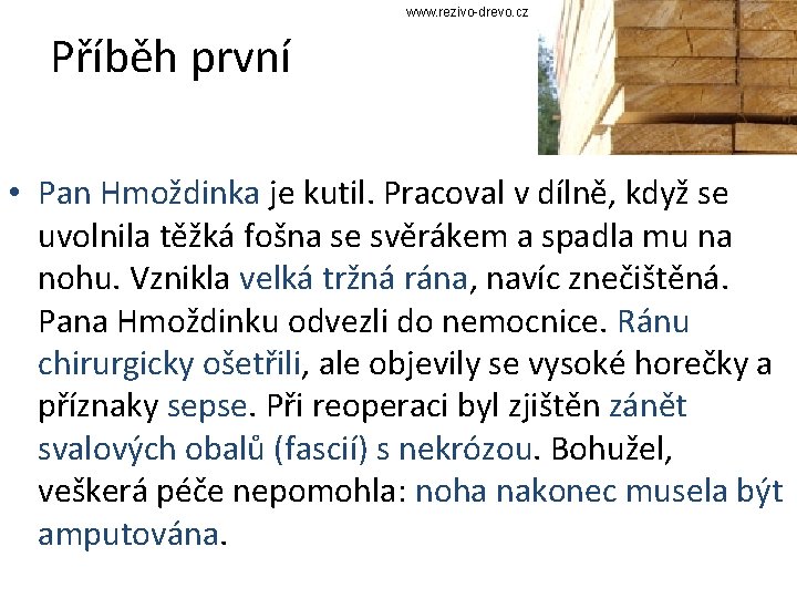 www. rezivo-drevo. cz Příběh první • Pan Hmoždinka je kutil. Pracoval v dílně, když