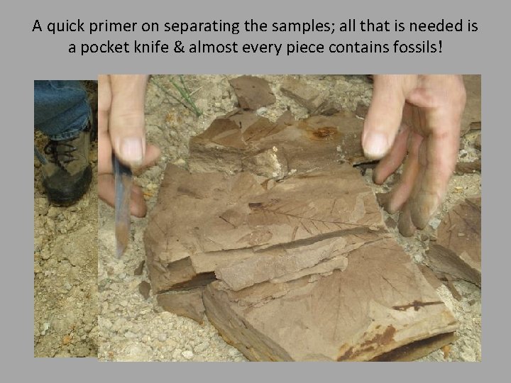 A quick primer on separating the samples; all that is needed is a pocket