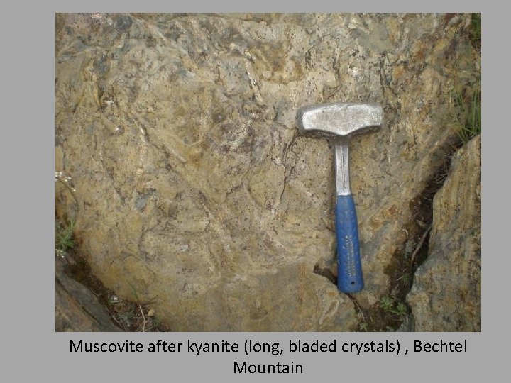 Muscovite after kyanite (long, bladed crystals) , Bechtel Mountain 