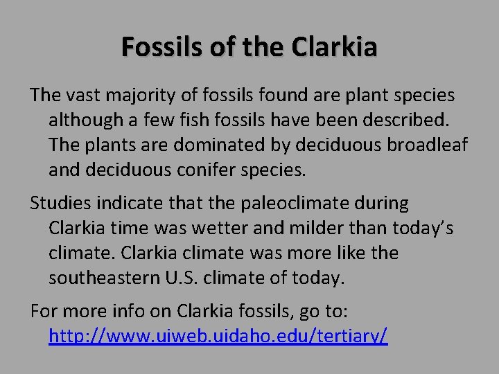 Fossils of the Clarkia The vast majority of fossils found are plant species although