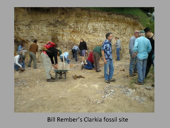 Bill Rember’s Clarkia fossil site 