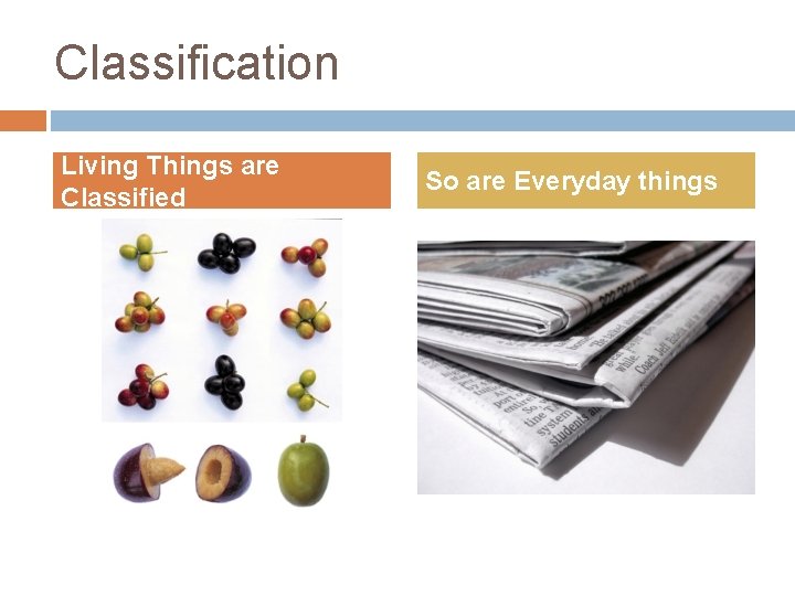 Classification Living Things are Classified So are Everyday things 