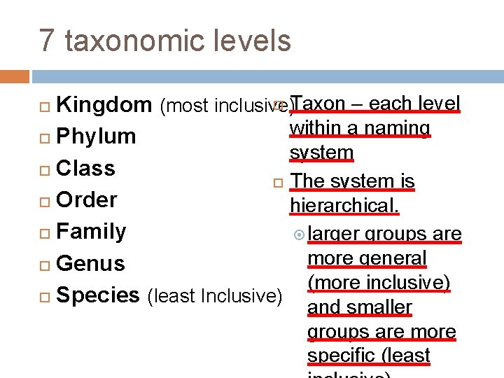 7 taxonomic levels Taxon – each level Kingdom (most inclusive) within a naming Phylum