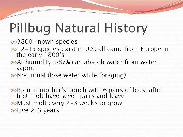 Pillbug Natural History 3800 known species 12 -15 species exist in U. S. all