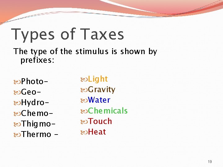 Types of Taxes The type of the stimulus is shown by prefixes: Photo Geo