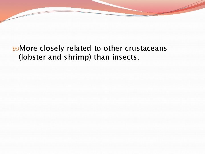  More closely related to other crustaceans (lobster and shrimp) than insects. 