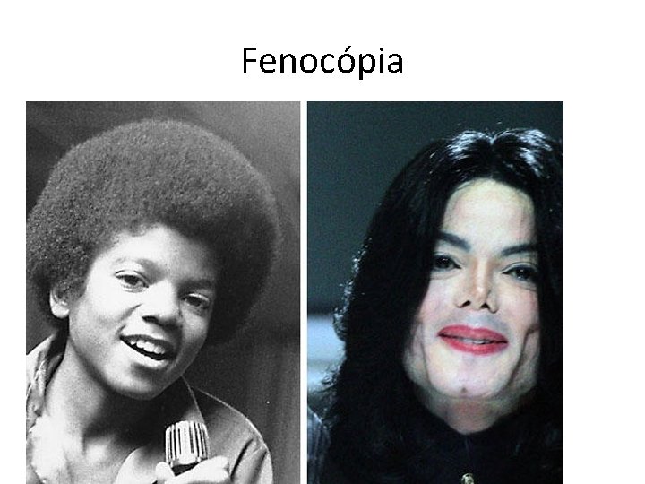 Fenocópia 
