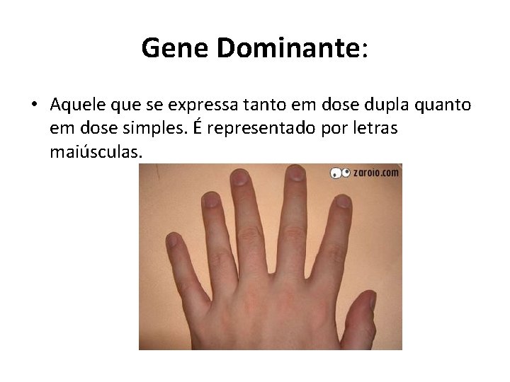 Gene Dominante: • Aquele que se expressa tanto em dose dupla quanto em dose