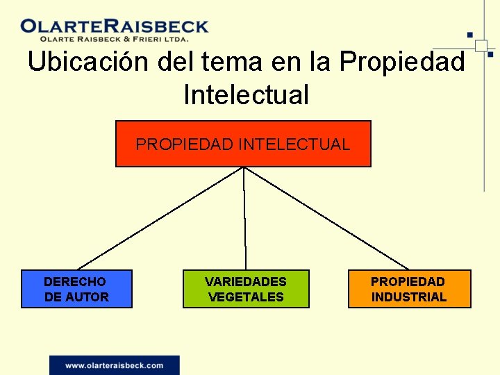 Ubicación del tema en la Propiedad Intelectual PROPIEDAD INTELECTUAL DERECHO DE AUTOR VARIEDADES VEGETALES