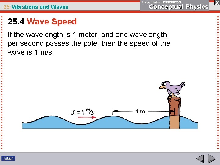 25 Vibrations and Waves 25. 4 Wave Speed If the wavelength is 1 meter,