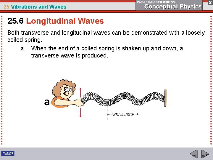 25 Vibrations and Waves 25. 6 Longitudinal Waves Both transverse and longitudinal waves can