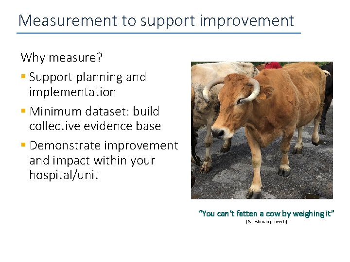 Measurement to support improvement Why measure? § Support planning and implementation § Minimum dataset: