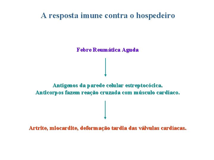 A resposta imune contra o hospedeiro Febre Reumática Aguda Antígenos da parede celular estreptocócica.