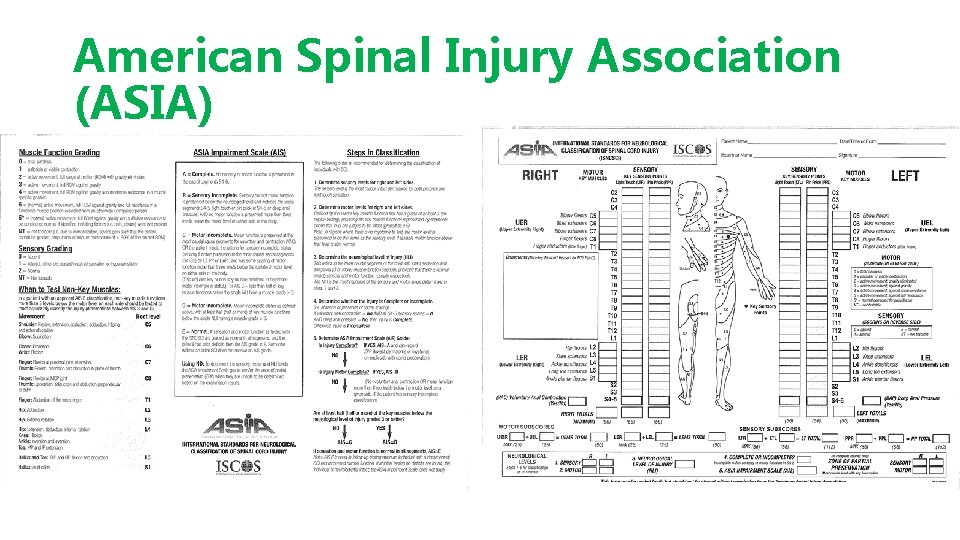 American Spinal Injury Association (ASIA) 