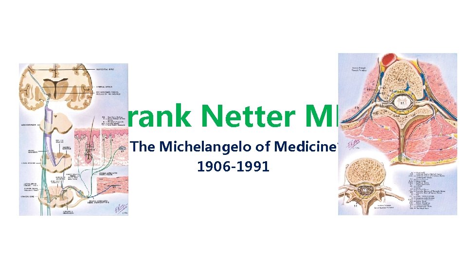 Frank Netter MD “The Michelangelo of Medicine” 1906 -1991 