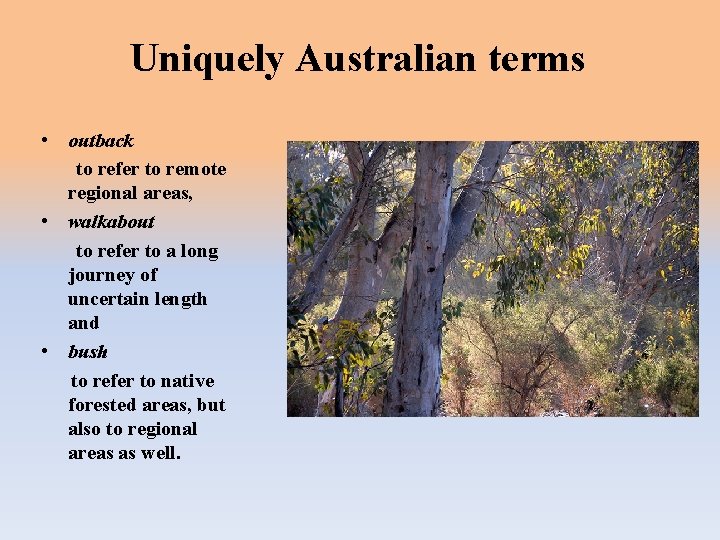 Uniquely Australian terms • outback to refer to remote regional areas, • walkabout to