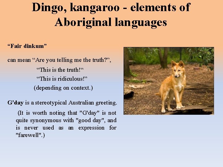 Dingo, kangaroo - elements of Aboriginal languages “Fair dinkum” can mean “Are you telling