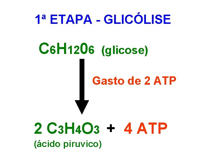 1ª ETAPA - GLICÓLISE C 6 H 1206 (glicose) Gasto de 2 ATP 2