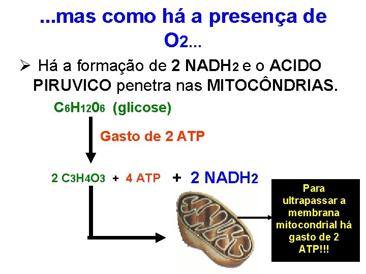 . . . mas como há a presença de O 2. . . Ø