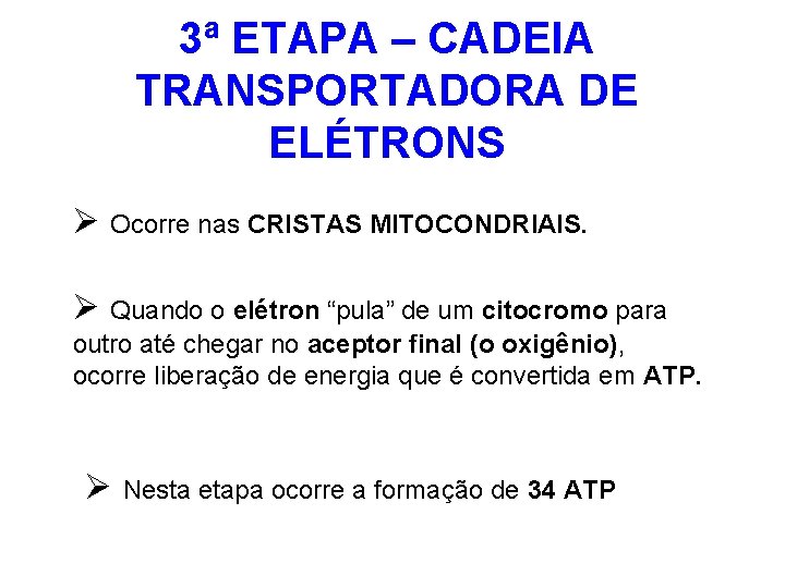 3ª ETAPA – CADEIA TRANSPORTADORA DE ELÉTRONS Ø Ocorre nas CRISTAS MITOCONDRIAIS. Ø Quando