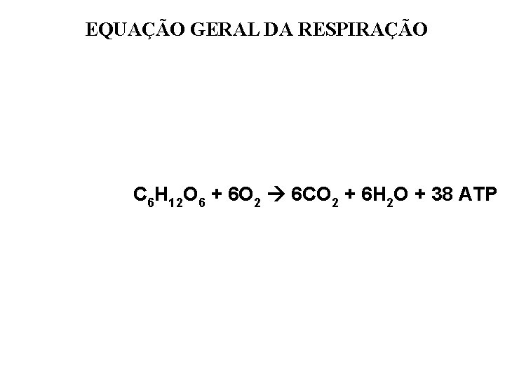 EQUAÇÃO GERAL DA RESPIRAÇÃO C 6 H 12 O 6 + 6 O 2