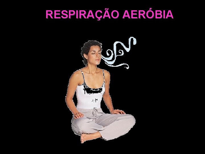 RESPIRAÇÃO AERÓBIA 