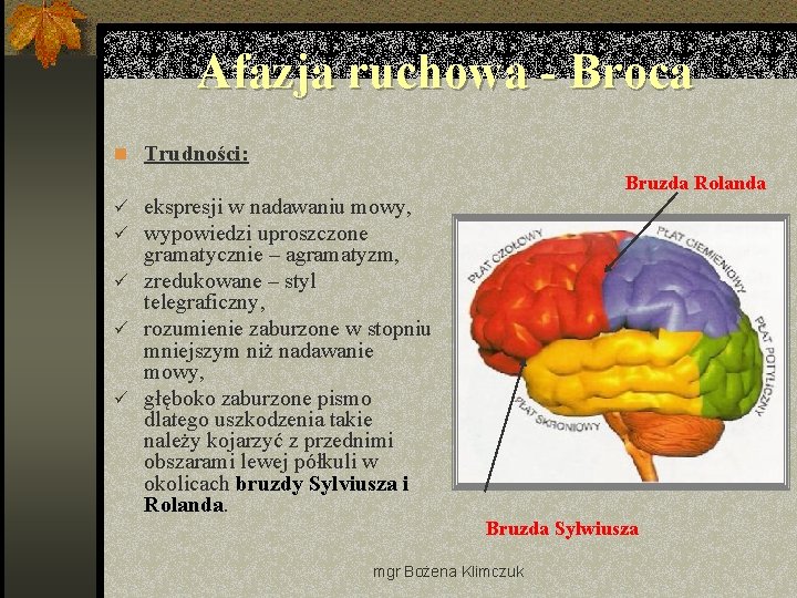 Afazja ruchowa - Broca n Trudności: Bruzda Rolanda ü ekspresji w nadawaniu mowy, ü